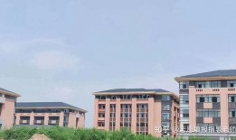 河南都市爆料最新耿女士