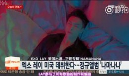 兴迪最新爆料新闻事件视频,揭秘新闻事件背后惊人真相