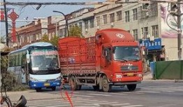 杞县车祸最新爆料五里河,最新爆料揭示惊人真相