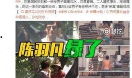 七仔粉丝爆料视频大全最新,精彩瞬间回顾