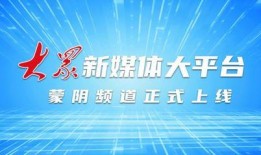 蒙阴最新爆料新闻头条,揭秘当地热点事件背后的真相